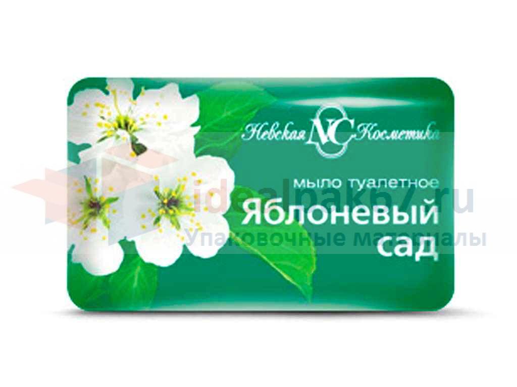 507d14ae-2403-11f0-9a36-22024d05760f_507d14b0-2403-11f0-9a36-22024d05760f